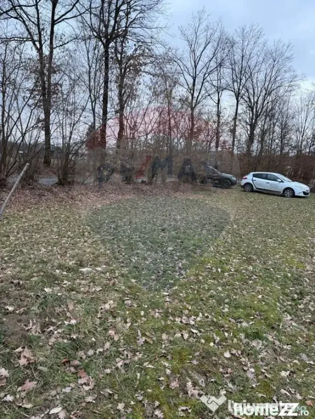 Teren intravilan cu priveliste de vanzare in Rus