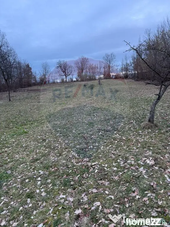 Teren intravilan cu priveliste de vanzare in Rus