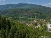 Teren intravilan, 3000 mp, Dâmbu Morii 