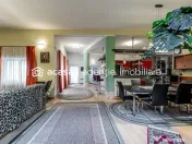 Spațiu comercial, hala, si un penthouse în centrul Arad... 