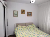 Oferta noua - Apartament 2 camere renovat str.Plevnei ! 