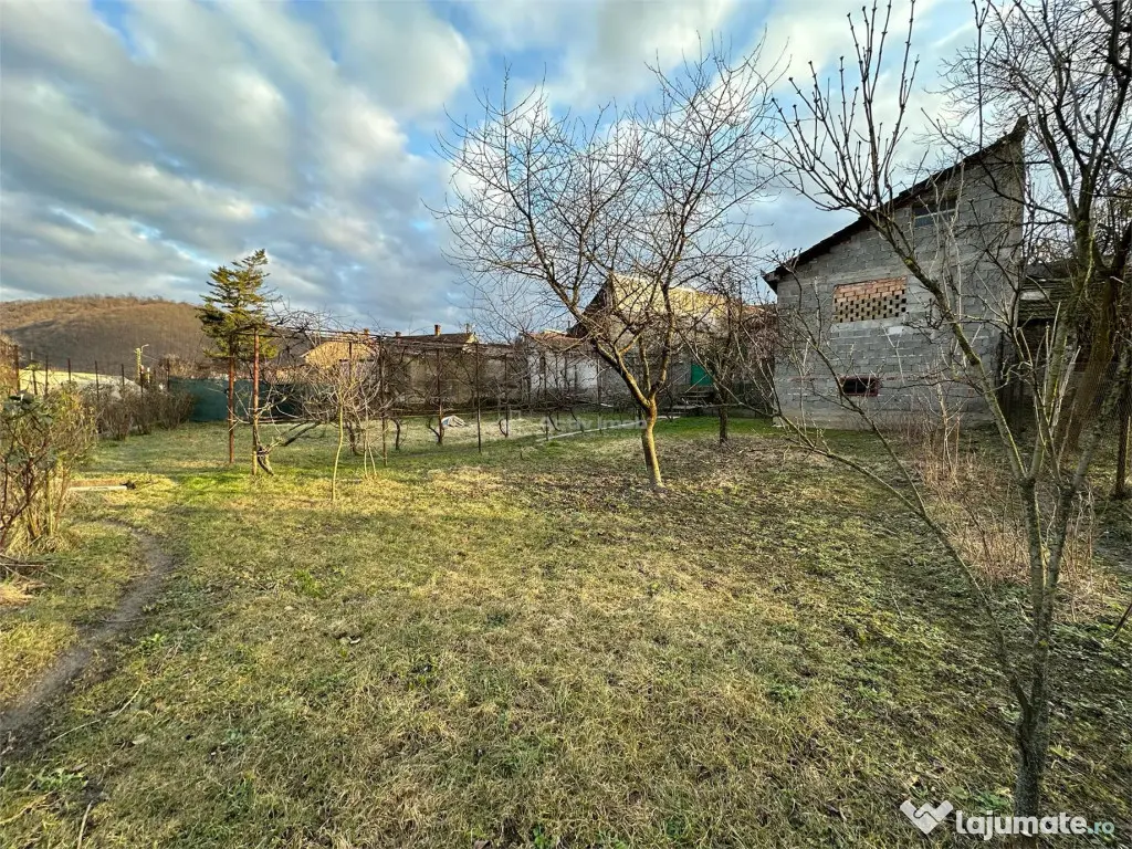 Bocsa Montana, Casa Solida Gradina, Strada Principala