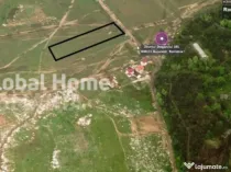 Teren Intravilan 5000 MP | Padurea Baneasa | Front stradal 2