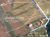 Teren Intravilan 5000 MP | Padurea Baneasa | Front stradal 2 