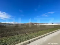 Teren de vanzare 11.600 mp– Santimbru