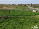 Teren intravilan cu utilitati 4350 mp la tara Jud Constanta