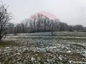 Teren 5,700mp Somcuta Mare / investitie cu potential major 