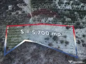 Teren 5,700mp Somcuta Mare / investitie cu potential major 