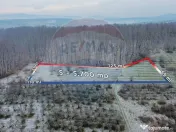 Teren 5,700mp Somcuta Mare / investitie cu potential major 