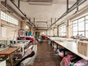 Clădire P+2 de închiriat | Bd. Nicolae Bălcescu ! 