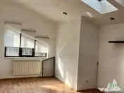 Vila cu 7 camere de închiriat în Floreasca