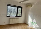 Vila cu 7 camere de închiriat în Floreasca