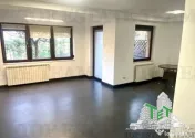 Vila cu 7 camere de închiriat în Floreasca