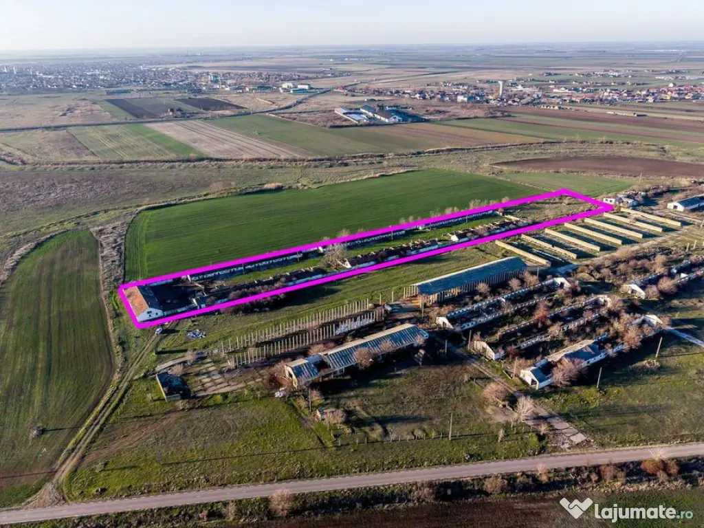 NĂDLAC | Teren 1.15 HA lângă Autostradă | 2.500mp Hale