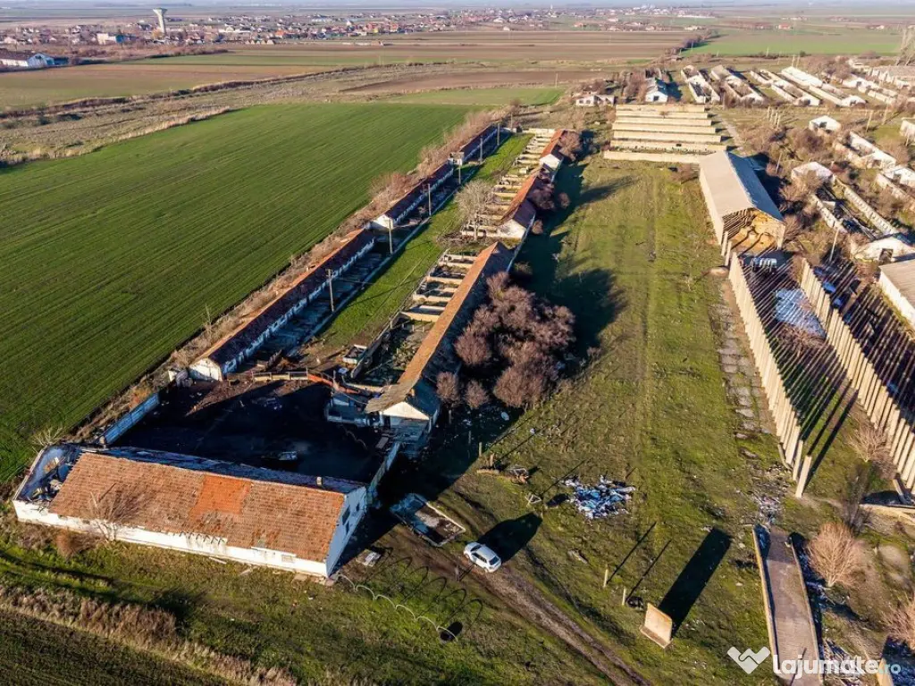 NĂDLAC | Teren 1.15 HA lângă Autostradă | 2.500mp Hale