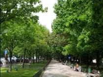 Vanzare apartament de 3 camere bd Unirii, bloc nou 2025