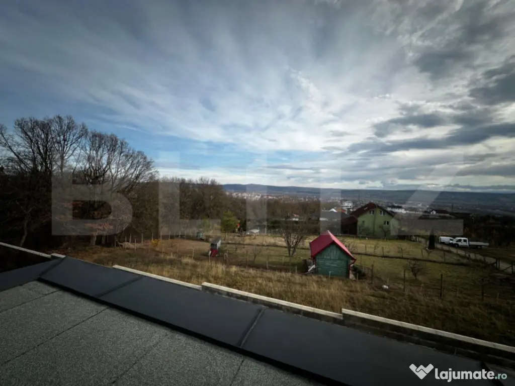 Locuinta + curte 1000 mp, 220 mp utili, zona Schit