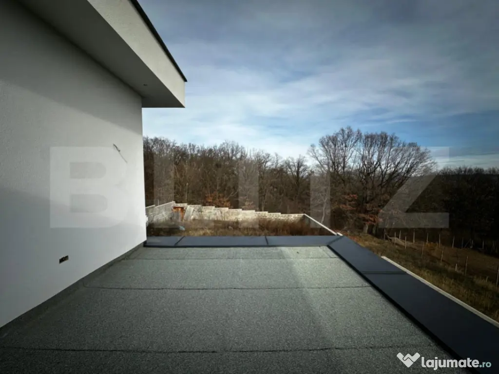 Locuinta + curte 1000 mp, 220 mp utili, zona Schit