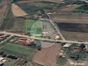 Casă tradițională cu teren generos de 3.529 mp – Bor... 