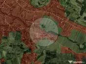 Casă tradițională cu teren generos de 3.529 mp – Bor... 