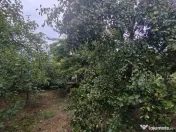 Casa - 24 ari de teren - Valea Ghinzii 
