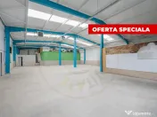Hala industriala / spatiu comercial – VANZARE – DN 65B ? 