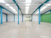 Hala industriala / spatiu comercial – VANZARE – DN 65B ? 