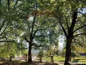 DE VANZARE Teren intr-un colț de Transilvanie autentică 