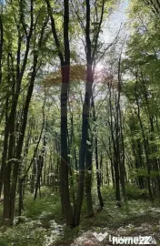 DE VANZARE Teren intr-un colț de Transilvanie autentică 