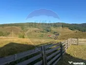 Teren+casa in zona superba-Statiunea Belis-Fantanele, Giu...