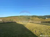 Teren+casa in zona superba-Statiunea Belis-Fantanele, Giu... 