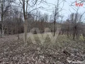 Casa Duplex Malu Mare cu teren generos - PREȚ PROMOȚIONAL