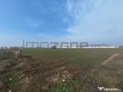 Dragomiresti Valea - Langa Centura, teren 15.600 mp, 35E/mp 