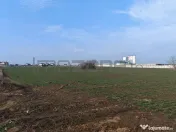 Dragomiresti Valea - Langa Centura, teren 15.600 mp, 35E/mp 