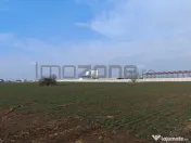 Dragomiresti Valea - Langa Centura, teren 15.600 mp, 35E/mp 