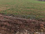 Dragomiresti Valea - Langa Centura, teren 15.600 mp, 35E/mp 