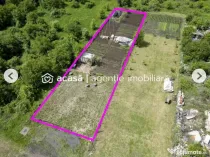 Teren 906 mp Arad, preț sub localitățile limitrofe.