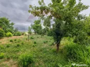 Teren intravilan de vânzare 1,200mp Variasu Mare 