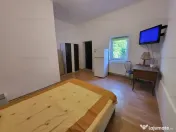 Casa pentru Investitie compartimentata in 5 apartamente 