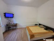 Casa pentru Investitie compartimentata in 5 apartamente 