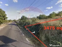 Teren Dumbraveni 3500 mp Primarie