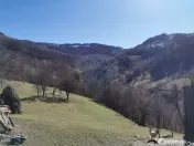 De vânzare teren intravilan 10,100 mp, cu anexă, Munteni 