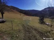 De vânzare teren intravilan 10,100 mp, cu anexă, Munteni 