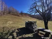 De vânzare teren intravilan 10,100 mp, cu anexă, Munteni 