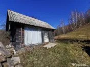 De vânzare teren intravilan 10,100 mp, cu anexă, Munteni 
