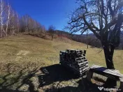 De vânzare teren intravilan 10,100 mp, cu anexă, Munteni 