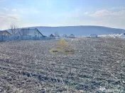 De vanzare teren intravilan Hemeius Bacau 