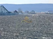 De vanzare teren intravilan Hemeius Bacau 