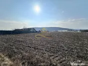 De vanzare teren intravilan Hemeius Bacau 