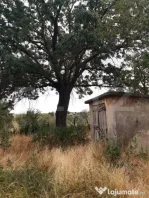 Casa P+1 renovabila, 1008 mp de teren, Sarbatoarea
